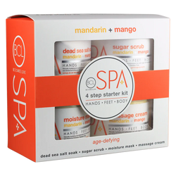 Mandarin + Mango 4 Step 16oz Starter Kit