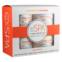 Load image into Gallery viewer, Mandarin + Mango 4 Step 16oz Starter Kit
