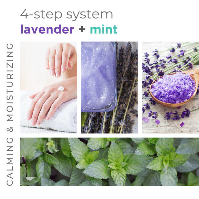 Lavender + Mint 4 Step 16oz Starter Kit