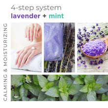 Load image into Gallery viewer, Lavender + Mint 4 Step 16oz Starter Kit
