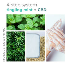 Load image into Gallery viewer, Tingling Mint + CBD 4 Step 16oz Starter Kit
