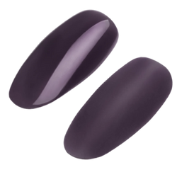 Gel Polish 063