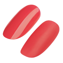 Gel Polish 213