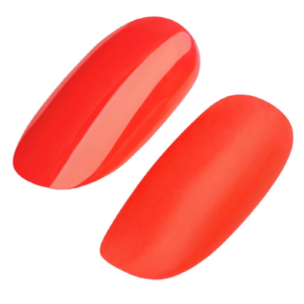 Blyss Nail Supply