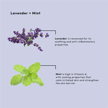 Load image into Gallery viewer, Lavender + Mint 4 Step 16oz Starter Kit
