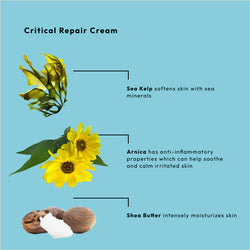 Critical Repair Cream + Sea Kelp Natural Remedy