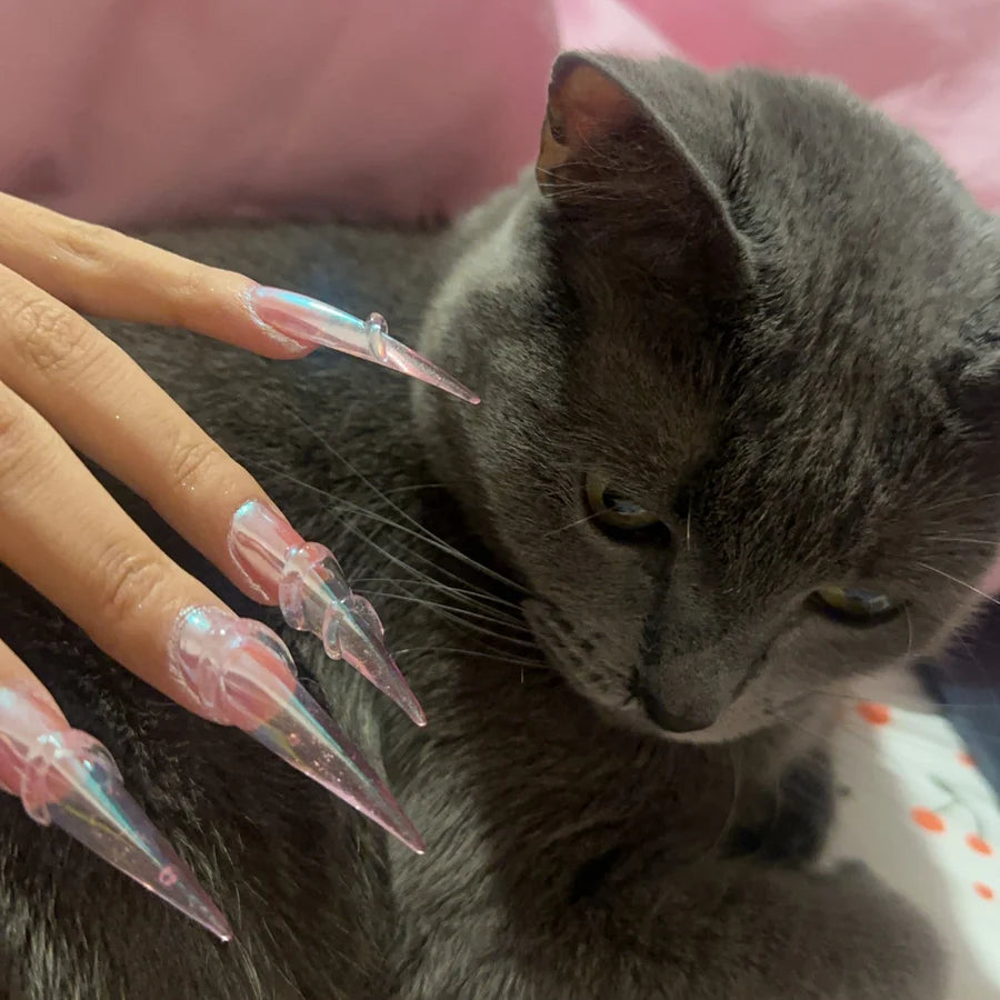 Cat Claw Crazy Gelip