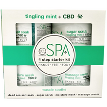 Load image into Gallery viewer, Tingling Mint + CBD 4 Step 16oz Starter Kit
