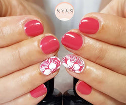 Lolly Pop Color