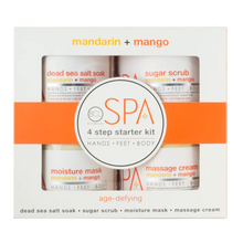 Load image into Gallery viewer, Mandarin + Mango 4 Step 16oz Starter Kit
