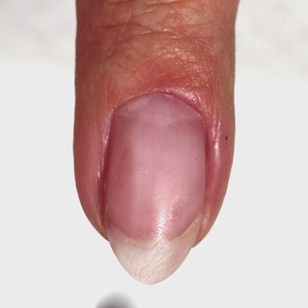 Blyss Nail Supply
