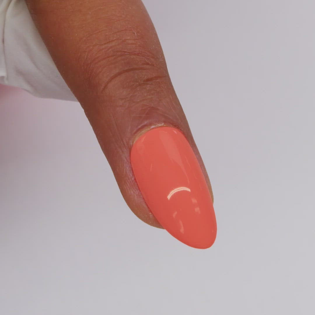 Blyss Nail Supply