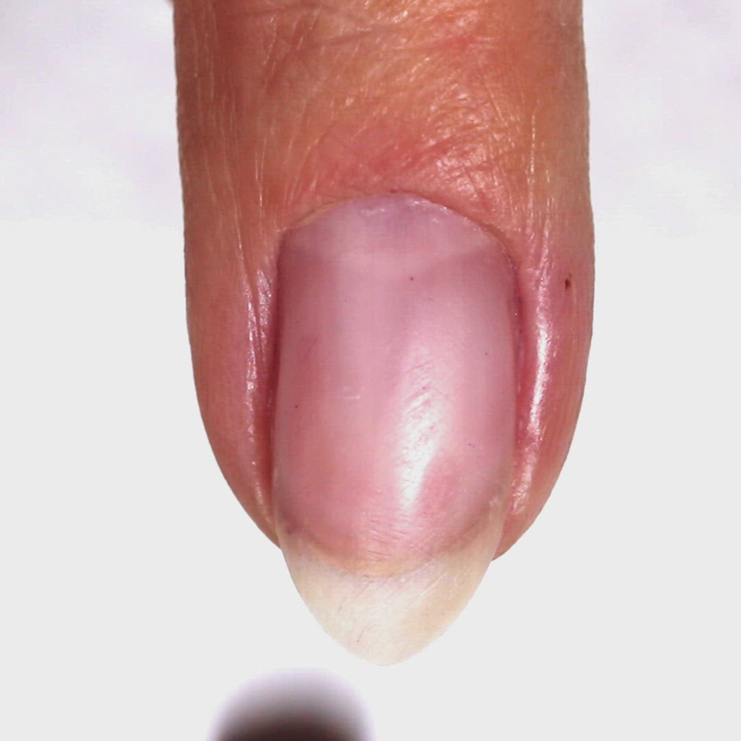Blyss Nail Supply