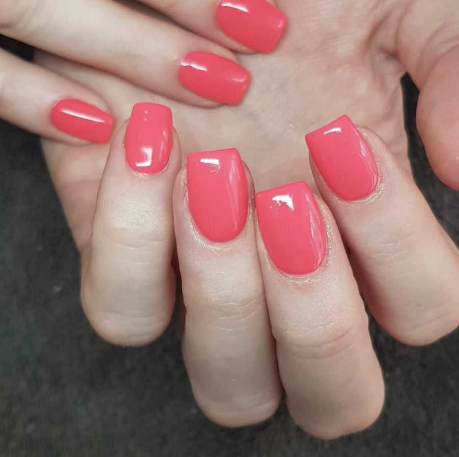 Flo-mingo Gel Color
