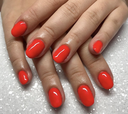 Coral Pigment