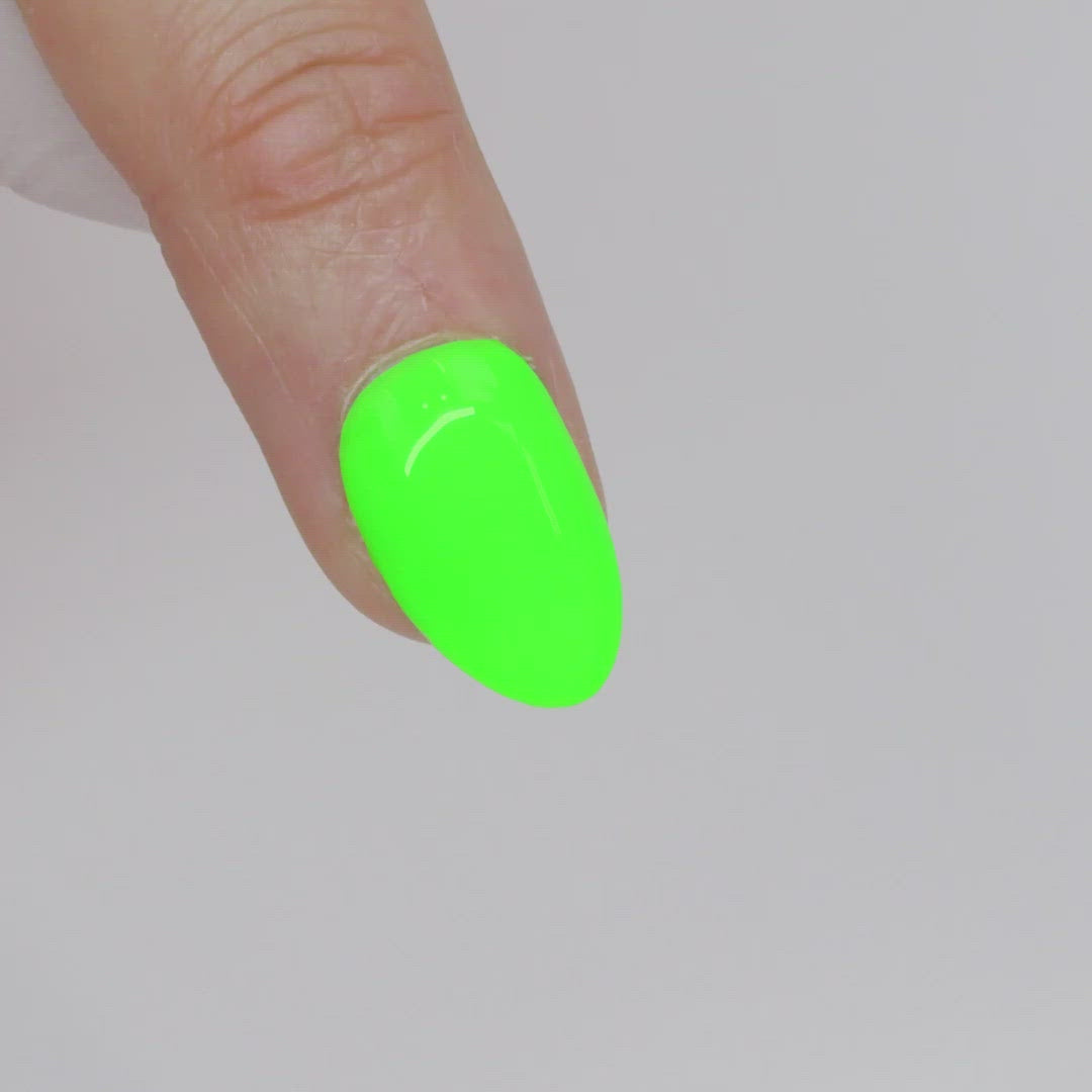 Blyss Nail Supply